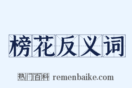 榜花反义词是什么意思的图片